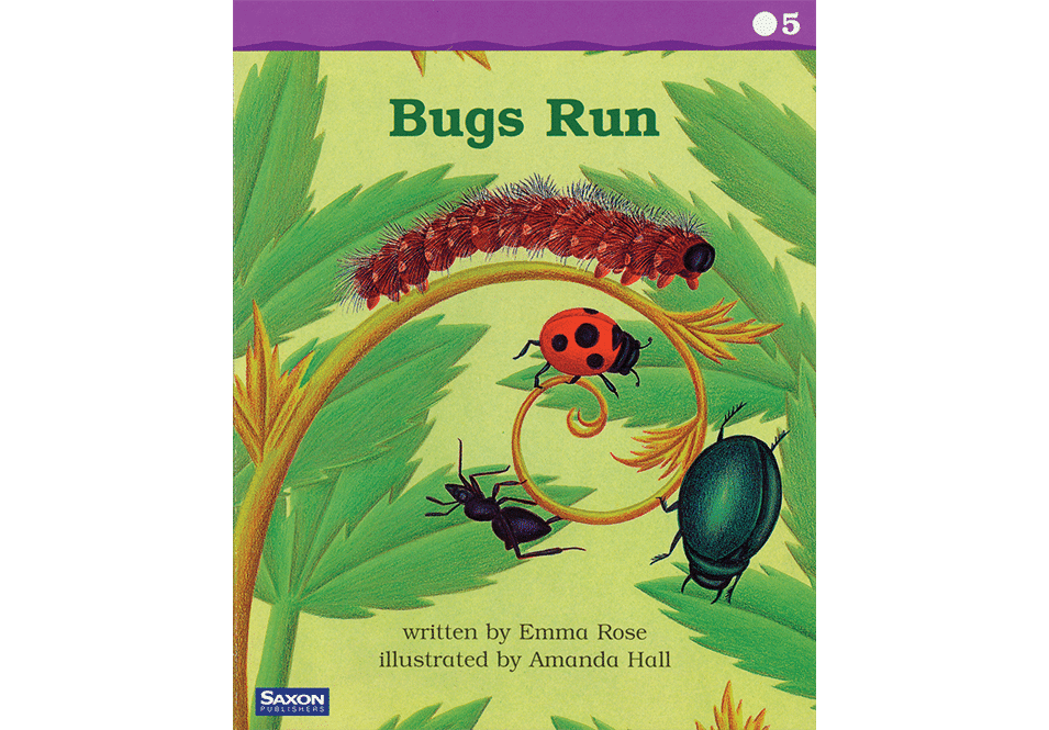 Amanda Hall Books 'Bugs Run book cover'