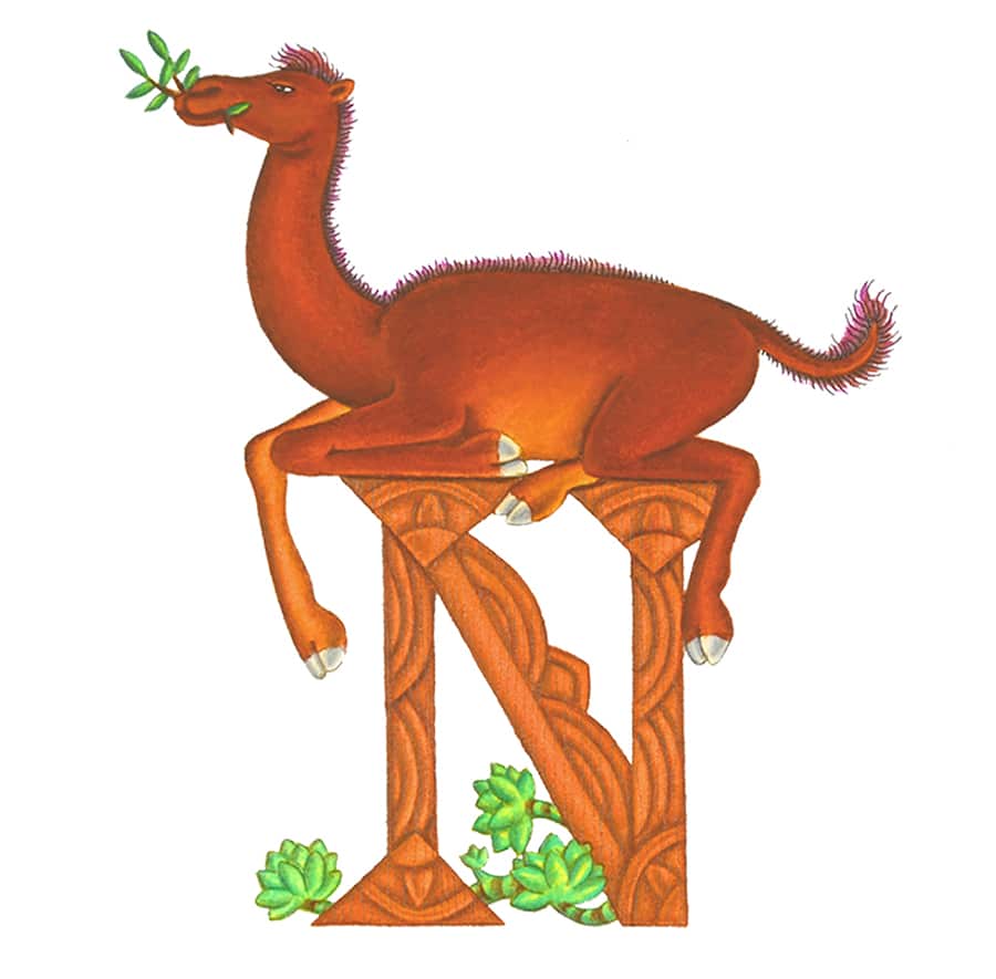 How the Camel got his Hump Gallery. Illustration 3 ‘Illuminated letter’ (Pixel dimensions available w733 x h721)