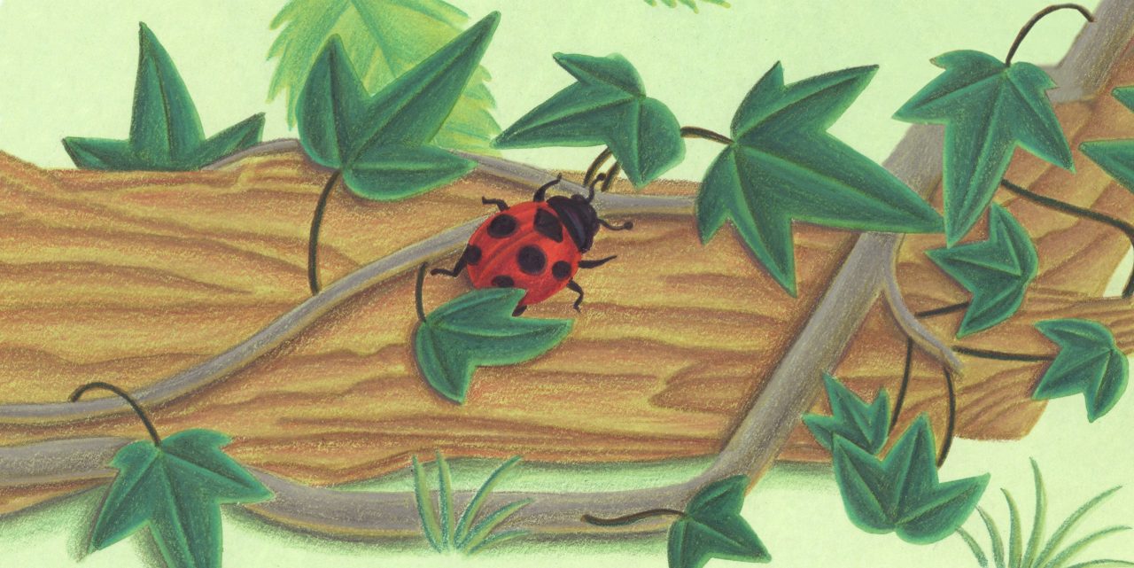 Bugs Run | Gallery of Educational Illustrations