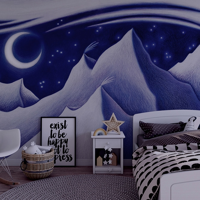 Beautiful Wall Murals for Children's Bedrooms & Playrooms