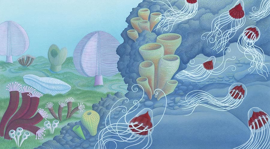 Natural history illustration of late Ediacaran sea creatures and early jellyfish