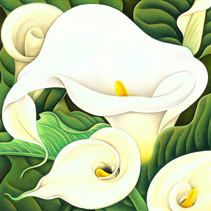 Henri Rousseau style arum lilies