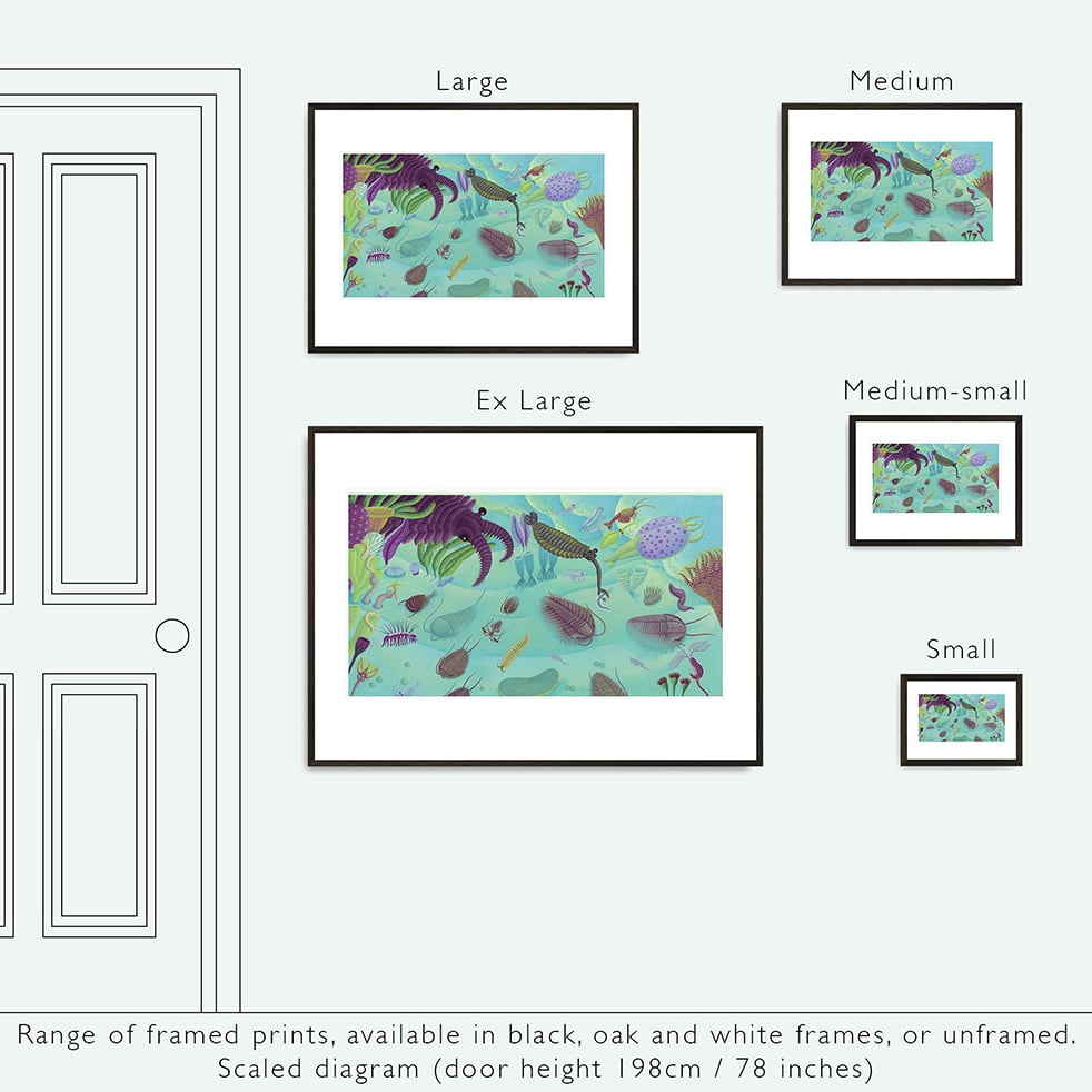 Fossil print Sea Green Wall Art Illustration Print