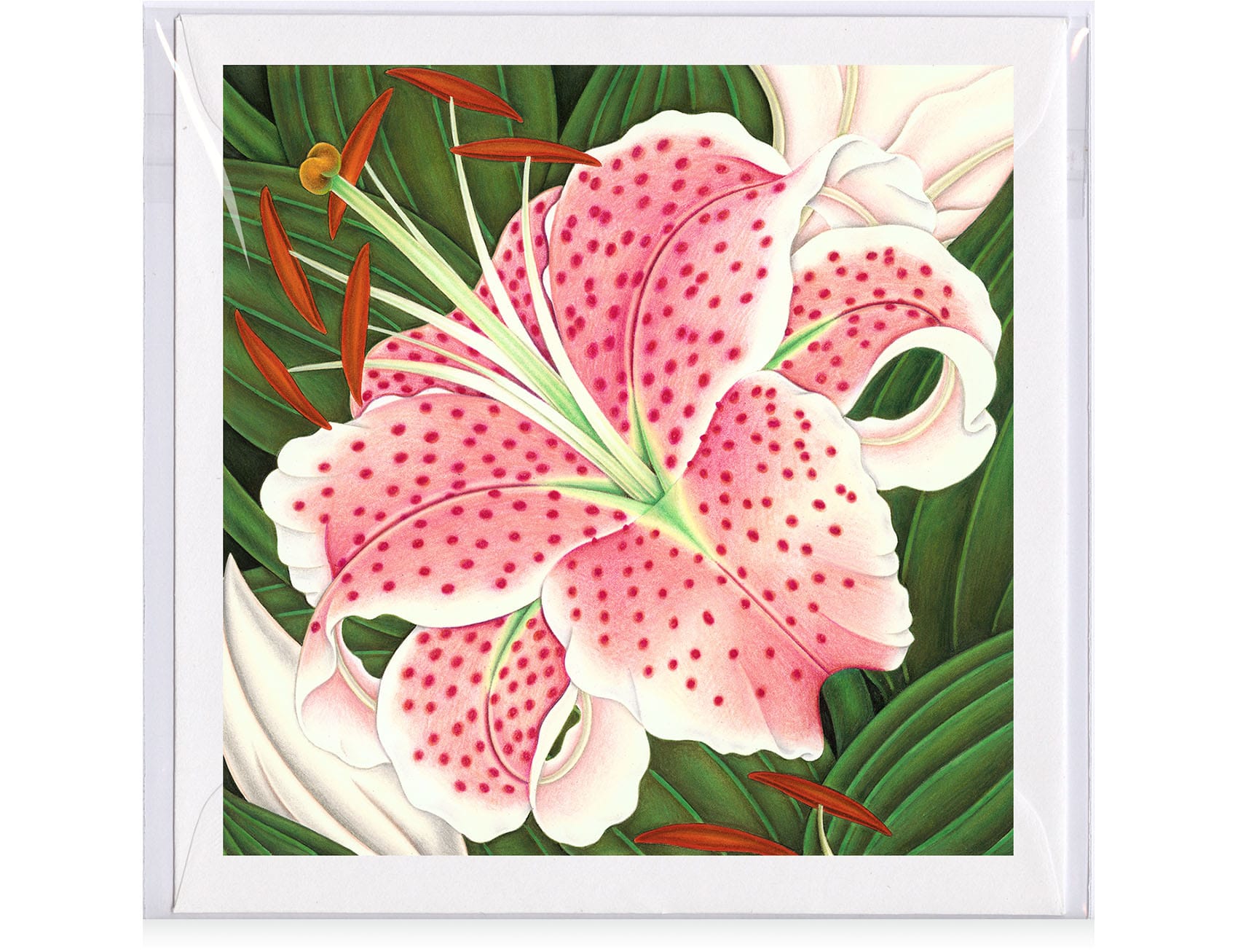 Paper Rousseau Jungles surface pattern design collection by Amanda Hall