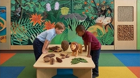 Rousseau Classroom Visual