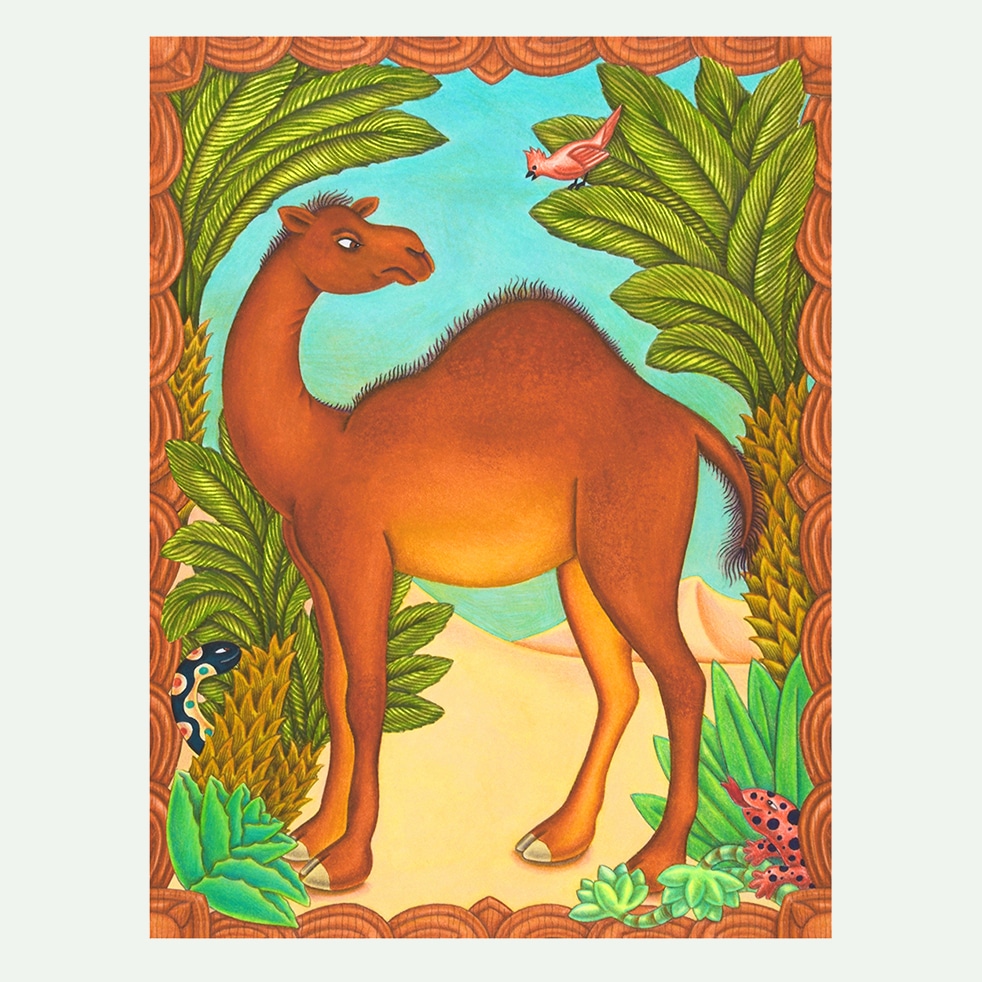 children's book illustrations for sale - How the Camel got his Hump